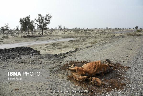 سایه نحس خشكسالی بر سر مردمان بام ایران
