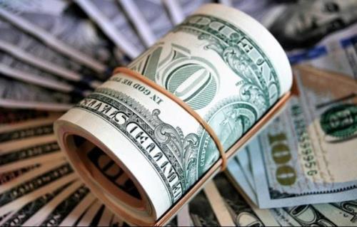 تثبیت قیمت دلار منجر به تضعیف تولید می شود