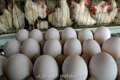 تبعات رهایی بازار و عدم نظارت دستگاه ها