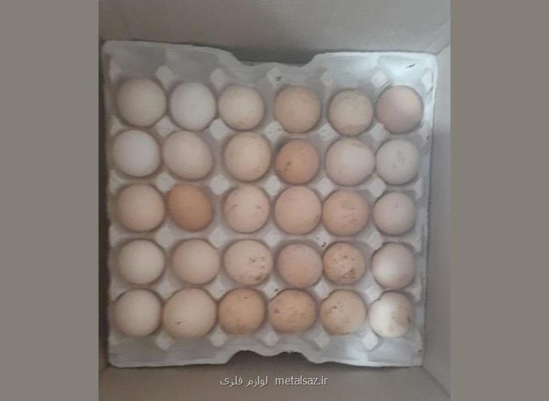 تخم مرغ خوراکی صنعتی و محلی
