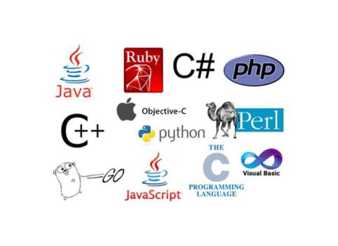 معرفی برترین زبانهای برنامه نویسی