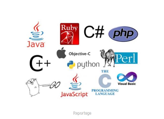 معرفی برترین زبانهای برنامه نویسی