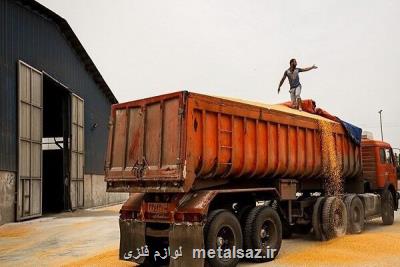 ترخیص و بارگیری 500 هزار تن ذرت دامی از بندر امام به داخل کشور