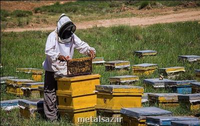 خوزستان رتبه هشتم تولید عسل در کشور را دارد