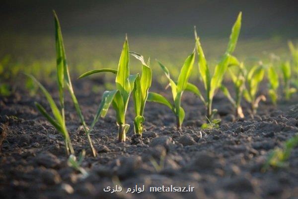 صادرات ۴ و سه دهم میلیارد دلاری محصولات کشاورزی