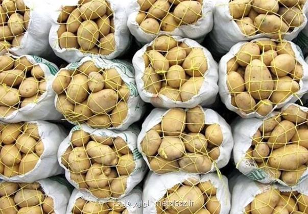 چرا سیب زمینی گران شد؟