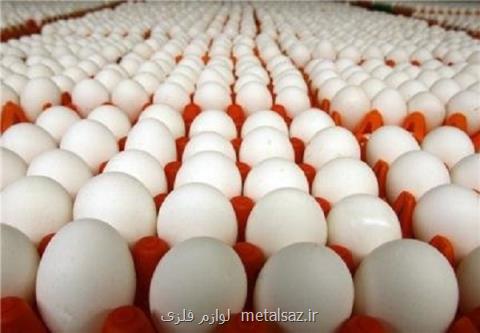 صادرات تخم مرغ آزاد شد، قول دادند بازار داخلی با مشكل مواجه نشود