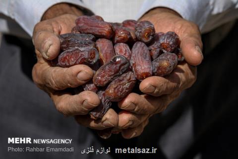 لغو عوارض صادرات خرما ابلاغ گردید