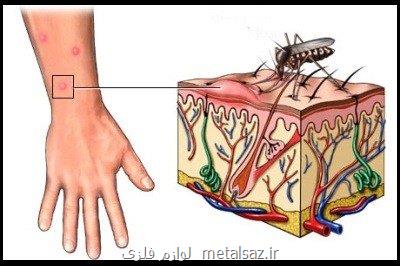 فوت ۱۰ نفر از مبتلایان به تب كریمه كنگو طی امسال