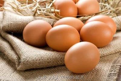 هر ایرانی سالانه ۲۰۰ عدد تخم مرغ می خورد، رشد ۱۱ درصدی تولید