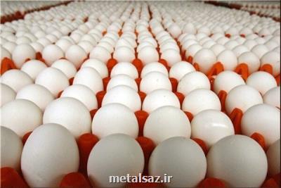 تمام مجوزهای صادرات تخم مرغ از ۱۴ تیر كنسل شد